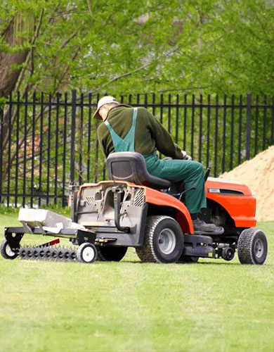 lawn care