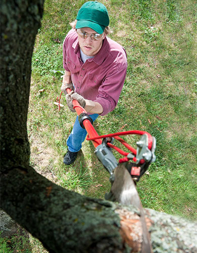 lawn maintenance
